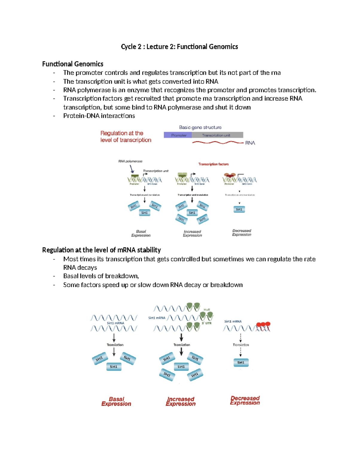 Cycle 2- Lecture 2 - Functional Genomics - Cycle 2 : Lecture 2 ...