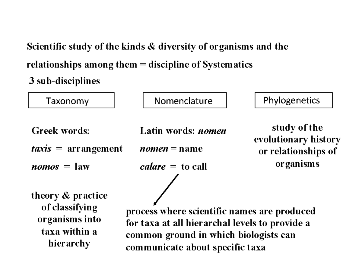 Lecture notes 10 Biological nomenclature Scientific study of the