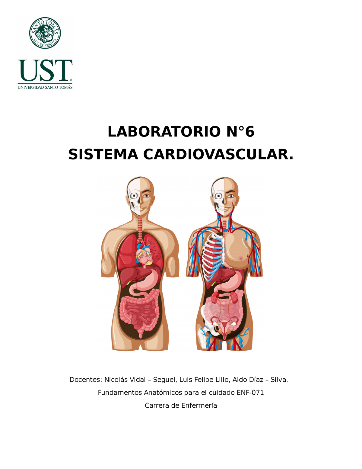 G6T - rstdyfuiouy - LABORATORIO N° SISTEMA CARDIOVASCULAR. Docentes ...