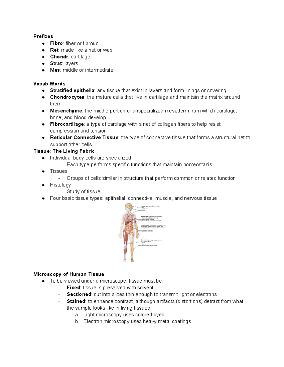 Human Anatomy & Physiology Chapter 4- Tissue The Living Fabric ...