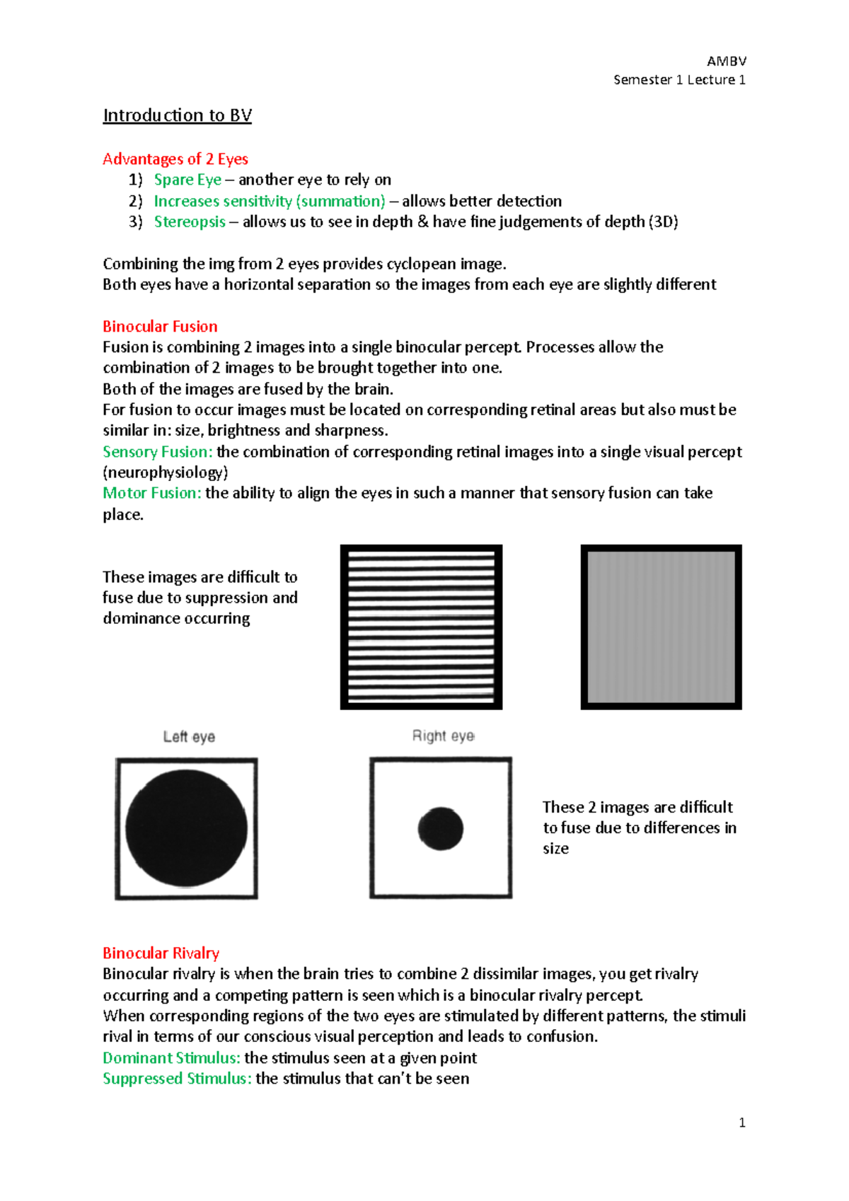 1) Introduction to BV Advantages of 2 Eyes Binocular Fusion Binocular