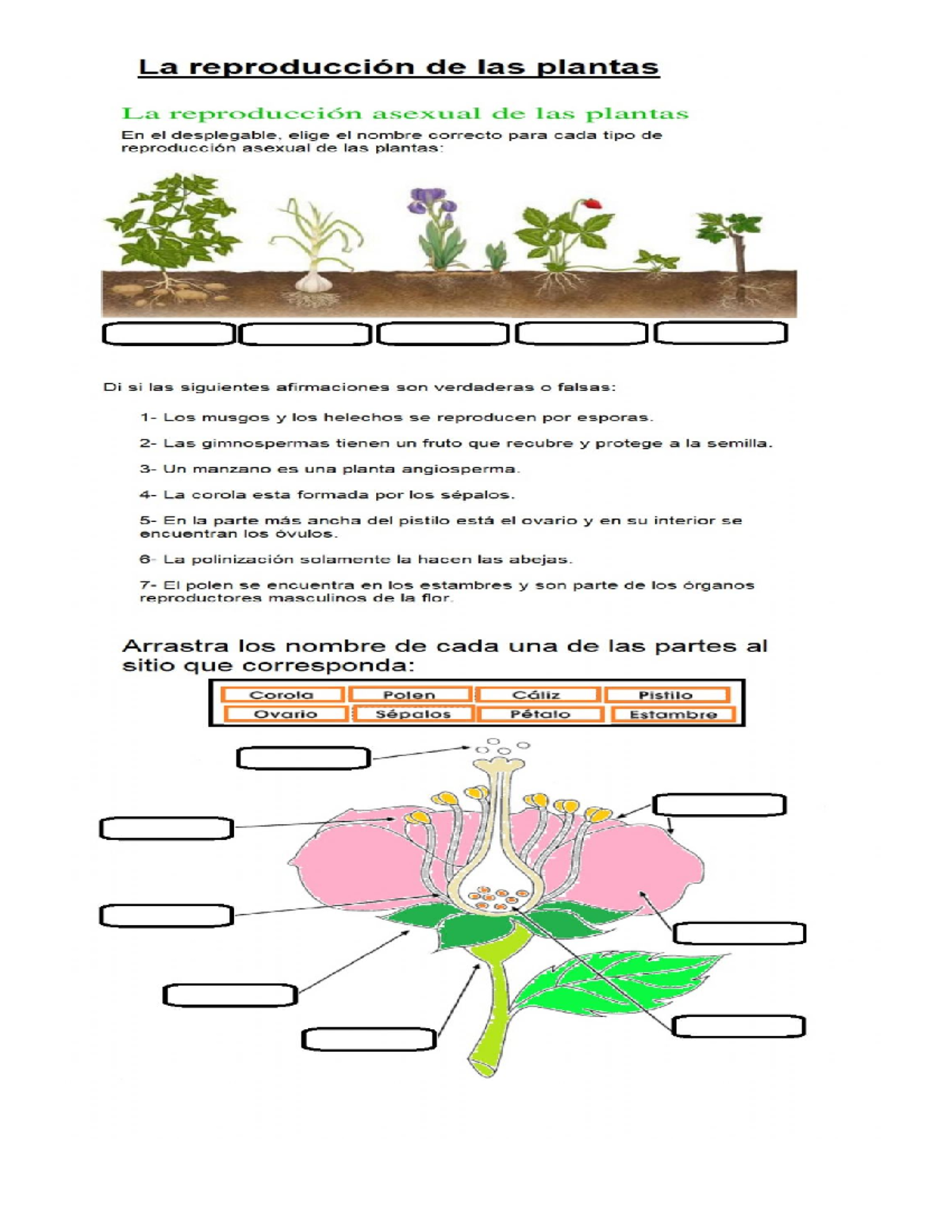 Ciencias quinto ciencias naturales Studocu