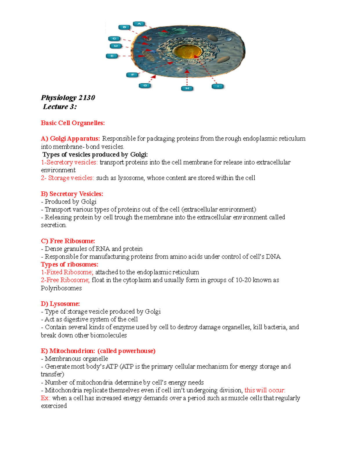 Lecture 3 notes for midterm - Physiology 2130 Lecture 3: Basic Cell ...