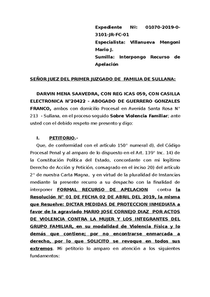 413394345 Modelo DE Apelacion DE Medidas DE Proteccion - Derecho Civil -  Studocu