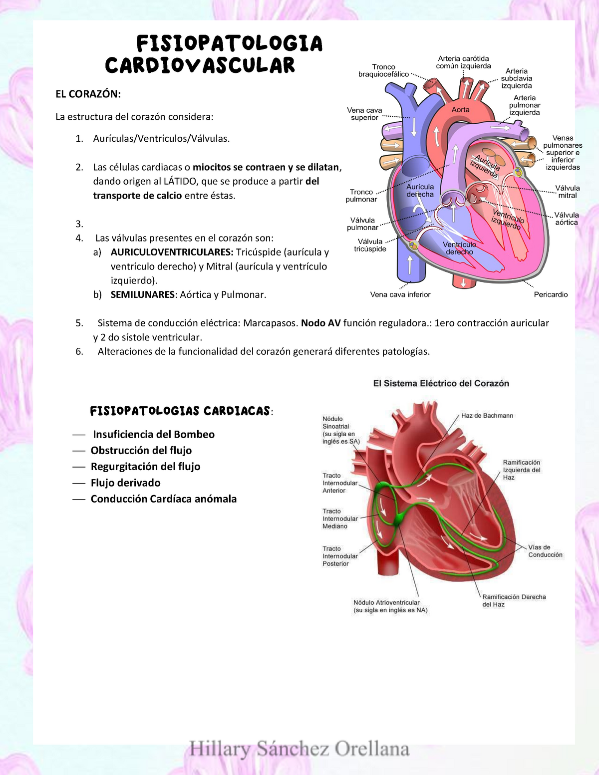 Fisiopatología Clínica Insuficiencia cardiaca congestiva EL CORAZÓN La estructura del