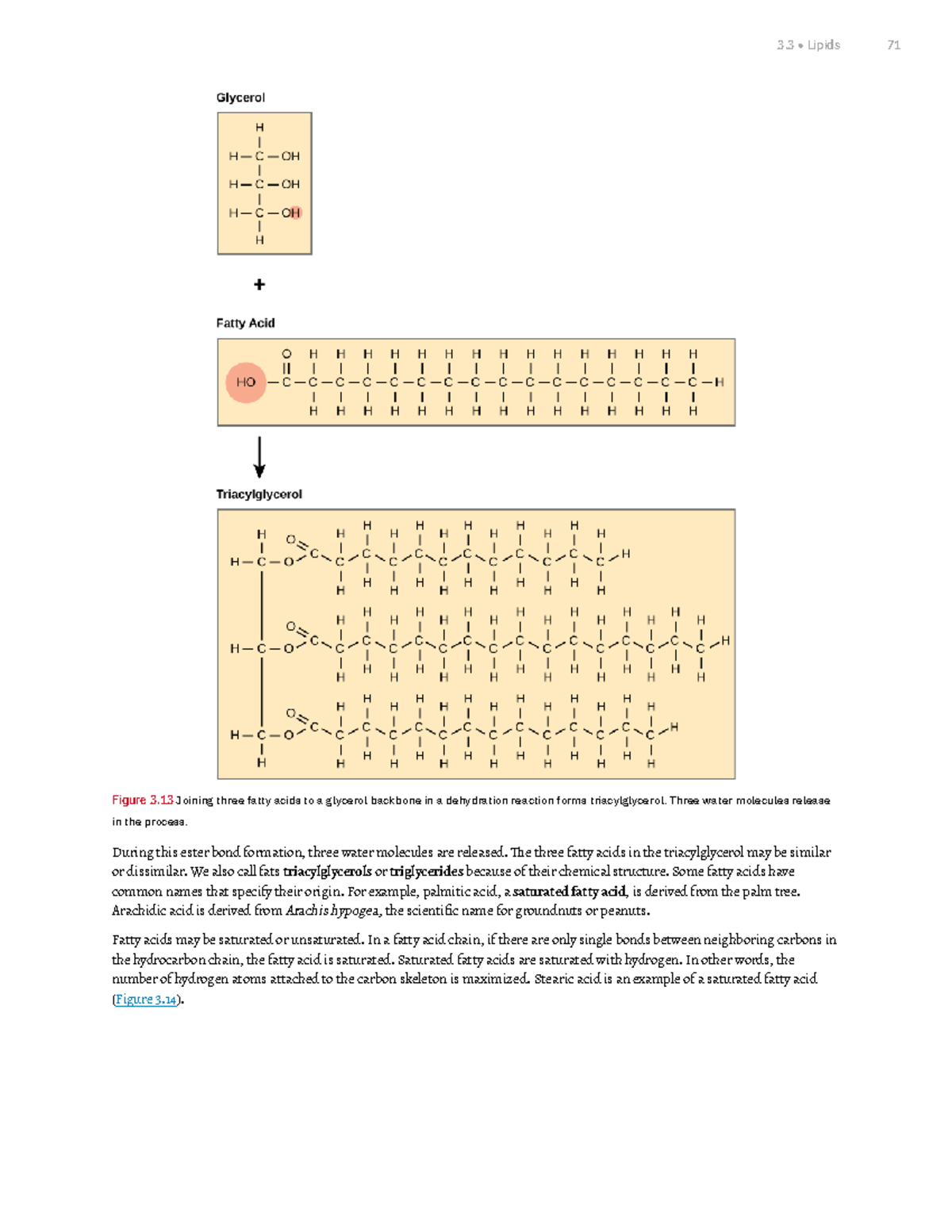 Chapter 3 Biological Macromolecules Part 4 Figure 3 Joining three