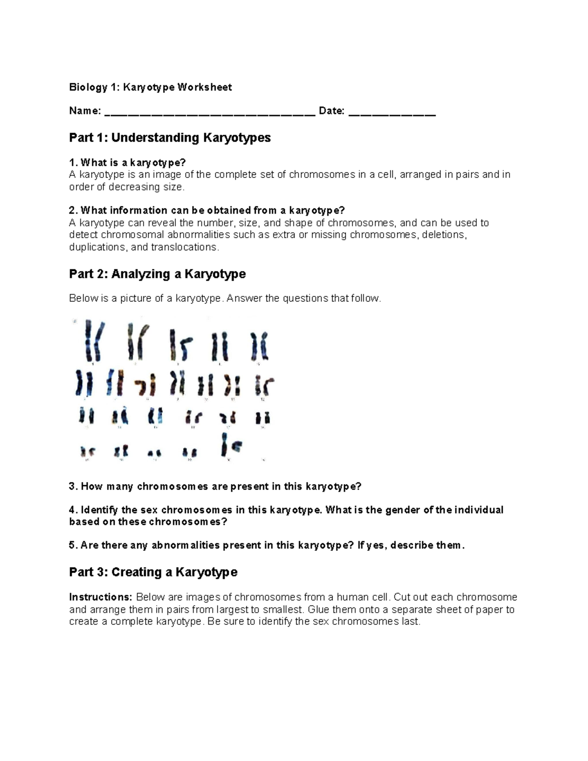 Karyotype Worksheet - Karyotyping And Chromosomal Disorders - Biology 1 ...