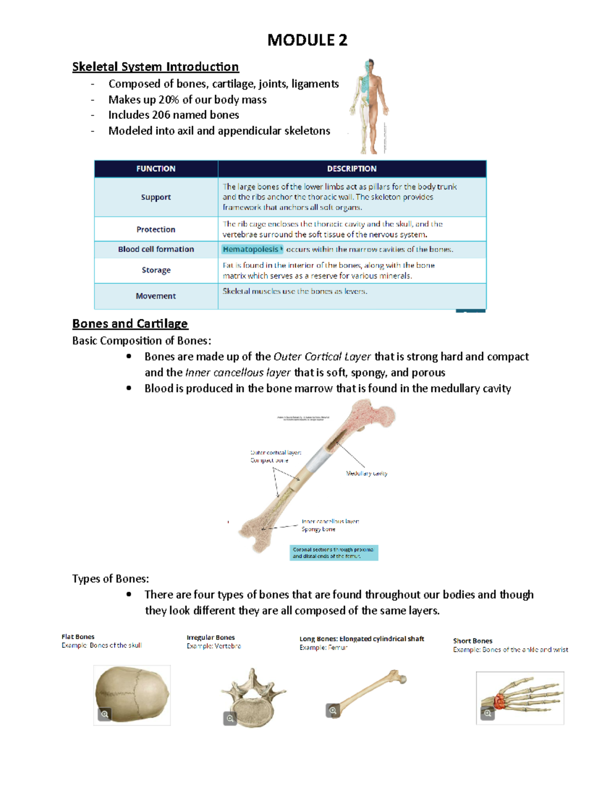 Anatomy - Module 2 - Lecture notes 2 - Skeletal System Introduction ...