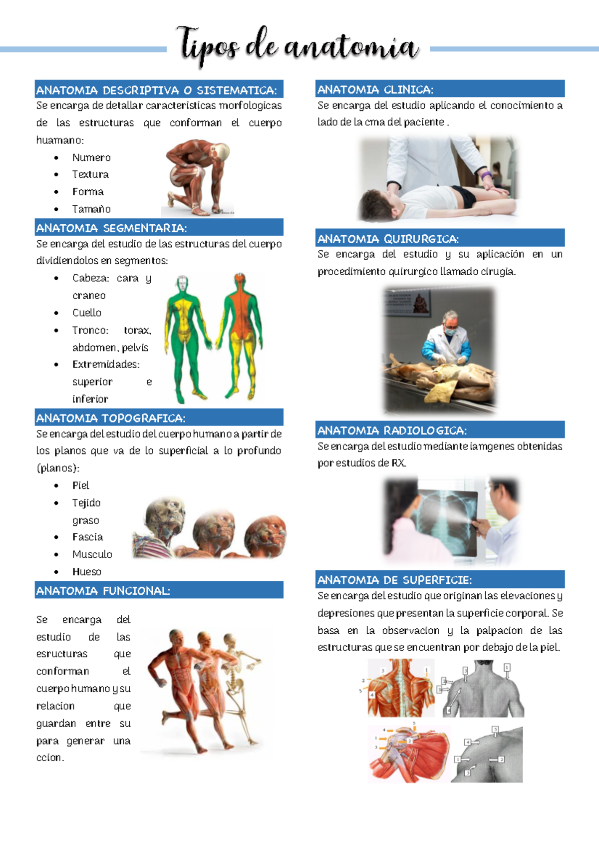 Tipos De Anatomia Anatomia Descriptiva O Sistematica Se Encarga De Detallar Caracteristicas 7183