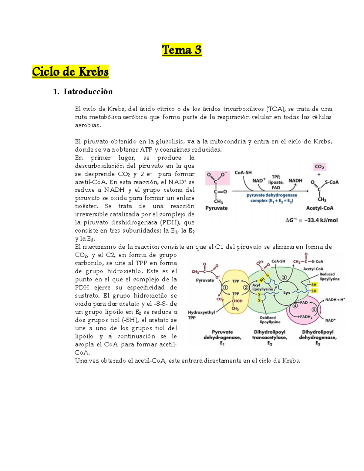 Tema 3 Ciclo De Krebs Ciclo Del Glioxilato Y Su Regulación Tema 3