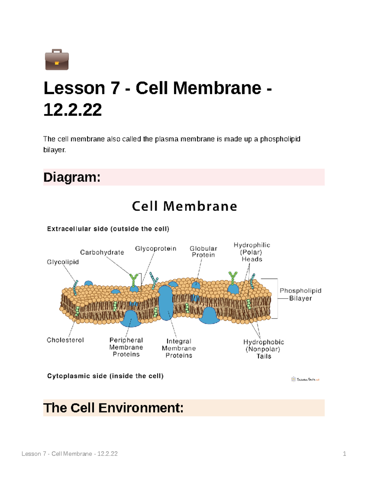 Biology Unit One Notes - 💼 Lesson 7 - Cell Membrane - 12. The Cell ...