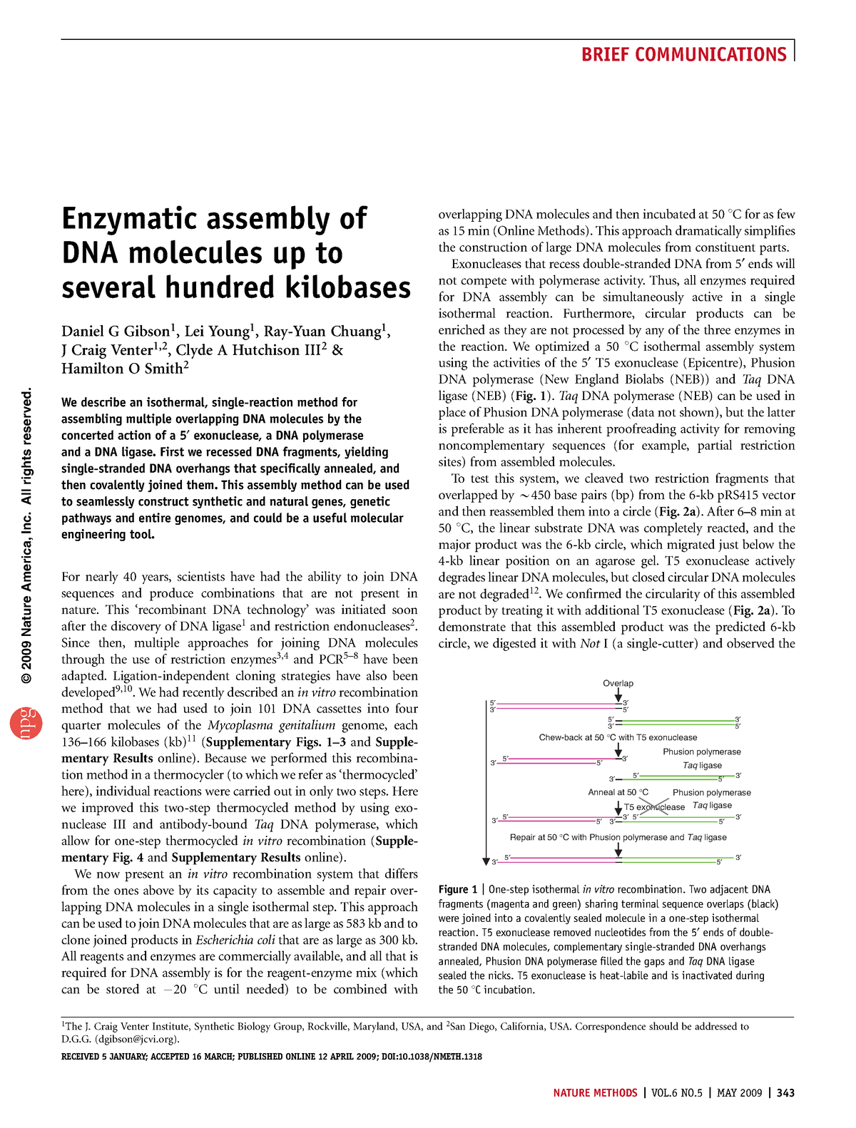 Nmeth - Enzymatic assembly of DNA molecules up to several hundred ...