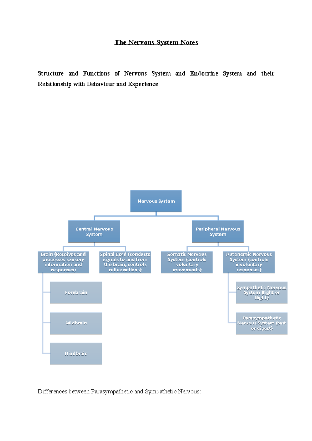 The Nervous System Notes - The Nervous System Notes Structure and ...