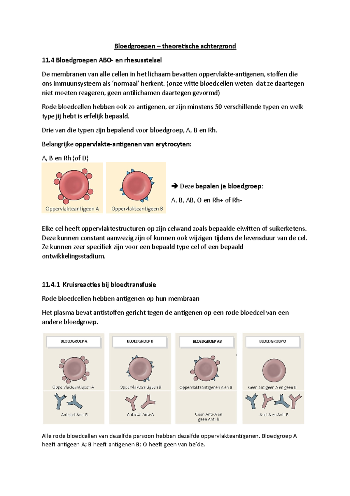 H11 Bloedgroepen - Bloedgroepen – Theoretische Achtergrond 11 ...