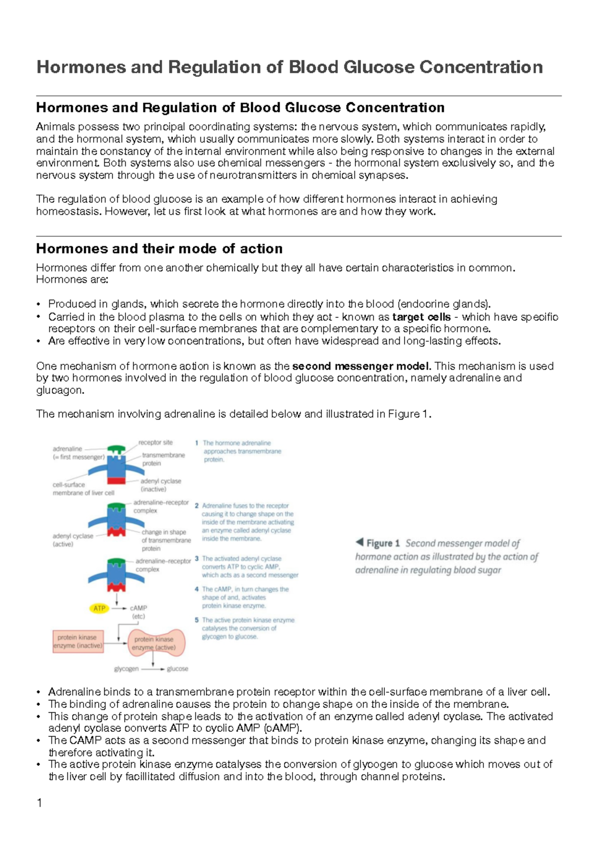 2) Hormones and Regulation of Blood Glucose Concentration - Hormones ...