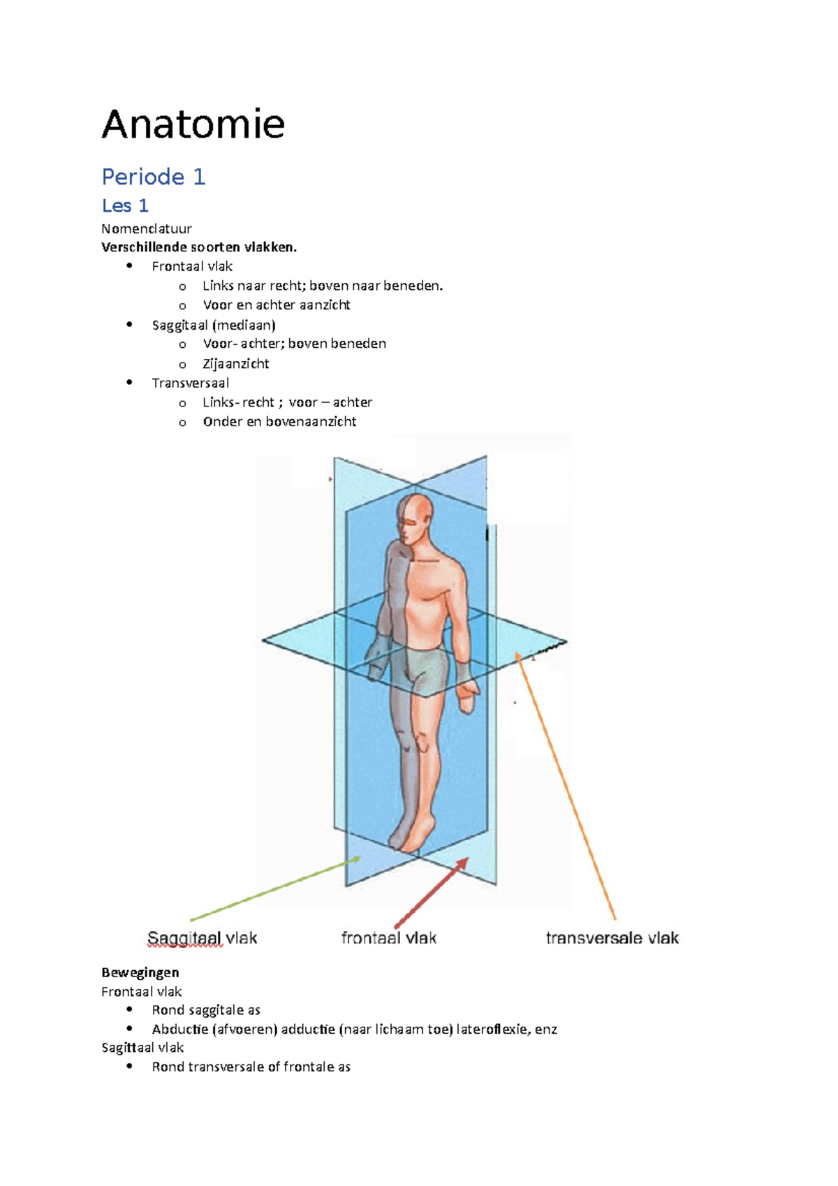 Anatomie P1 Jaar 1 - Anatomie Periode 1 Les 1 Nomenclatuur ...