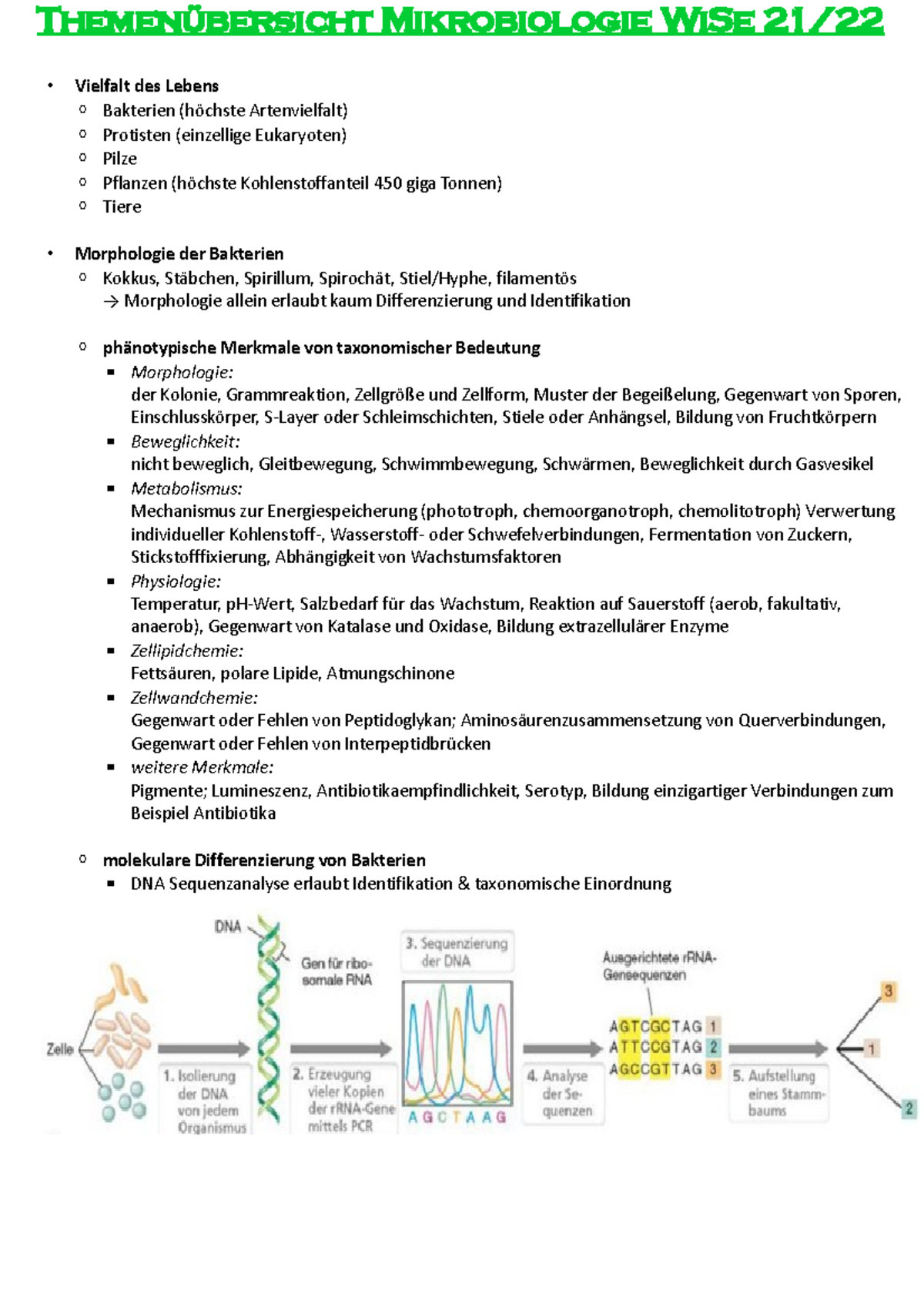 Themenzusammenfassung Mikrobiologie Wi Se Vielfalt Des Lebens Bakterien H Chste Studocu