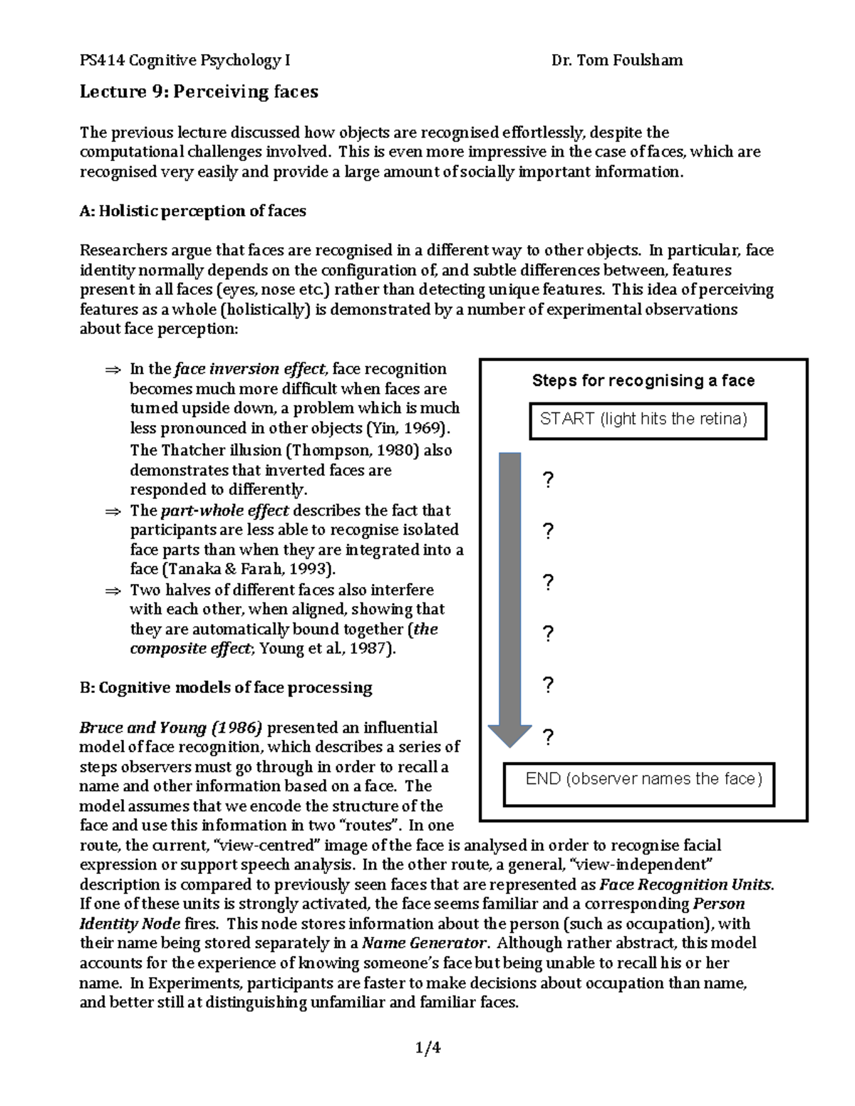 literature review on face perception