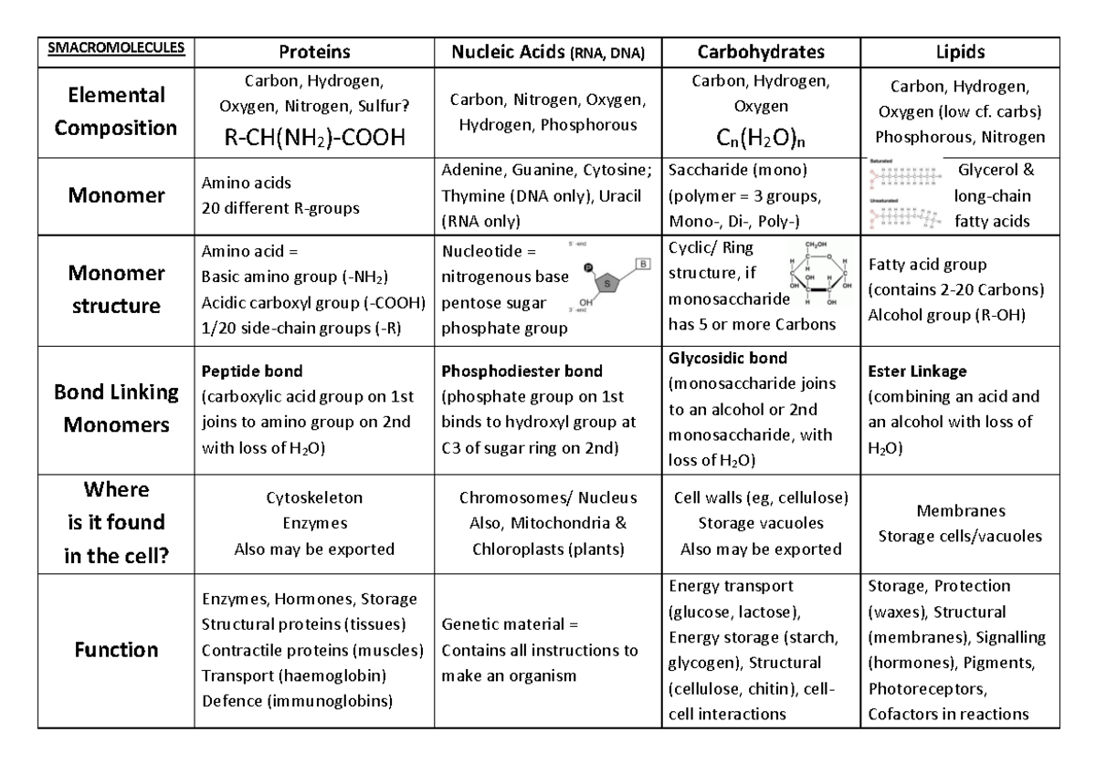 10002 Macromolecules summarytable ANS - SMACROMOLECULES Proteins ...