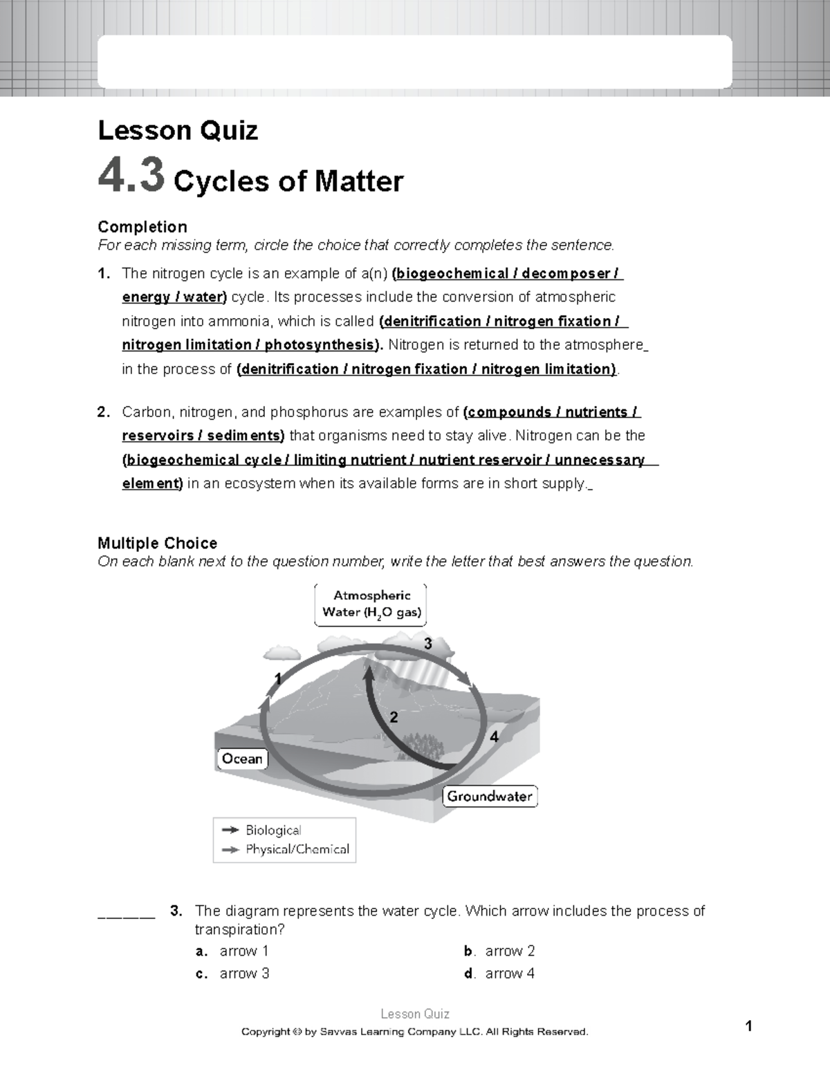 BIO CH04 L03 Quiz its an essay Lesson Quiz 4 Cycles of Matter