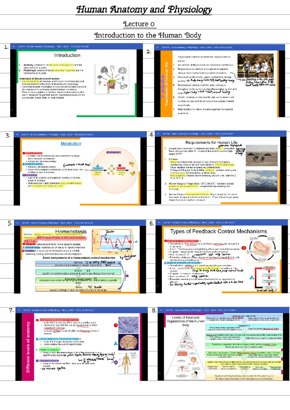 Lecture 0 - Human Anatomy and Physiology Lecture o Introduction to the ...