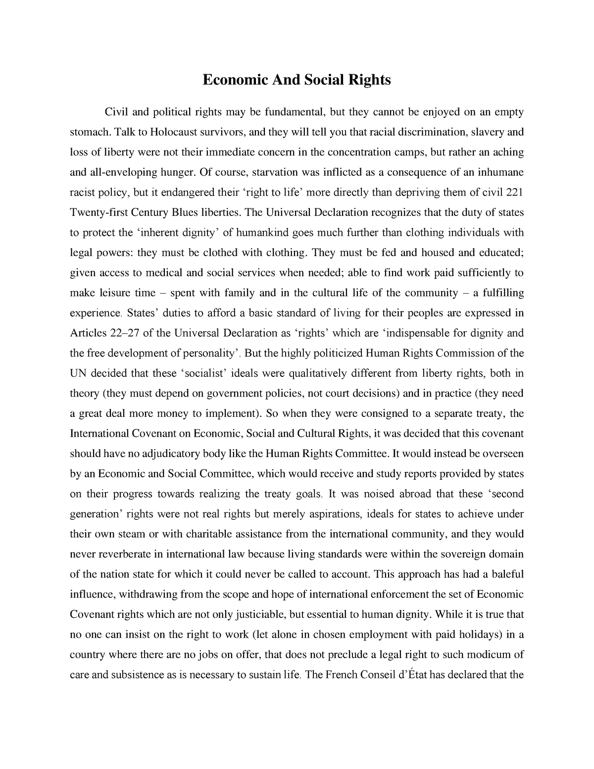 economic and social rights essay