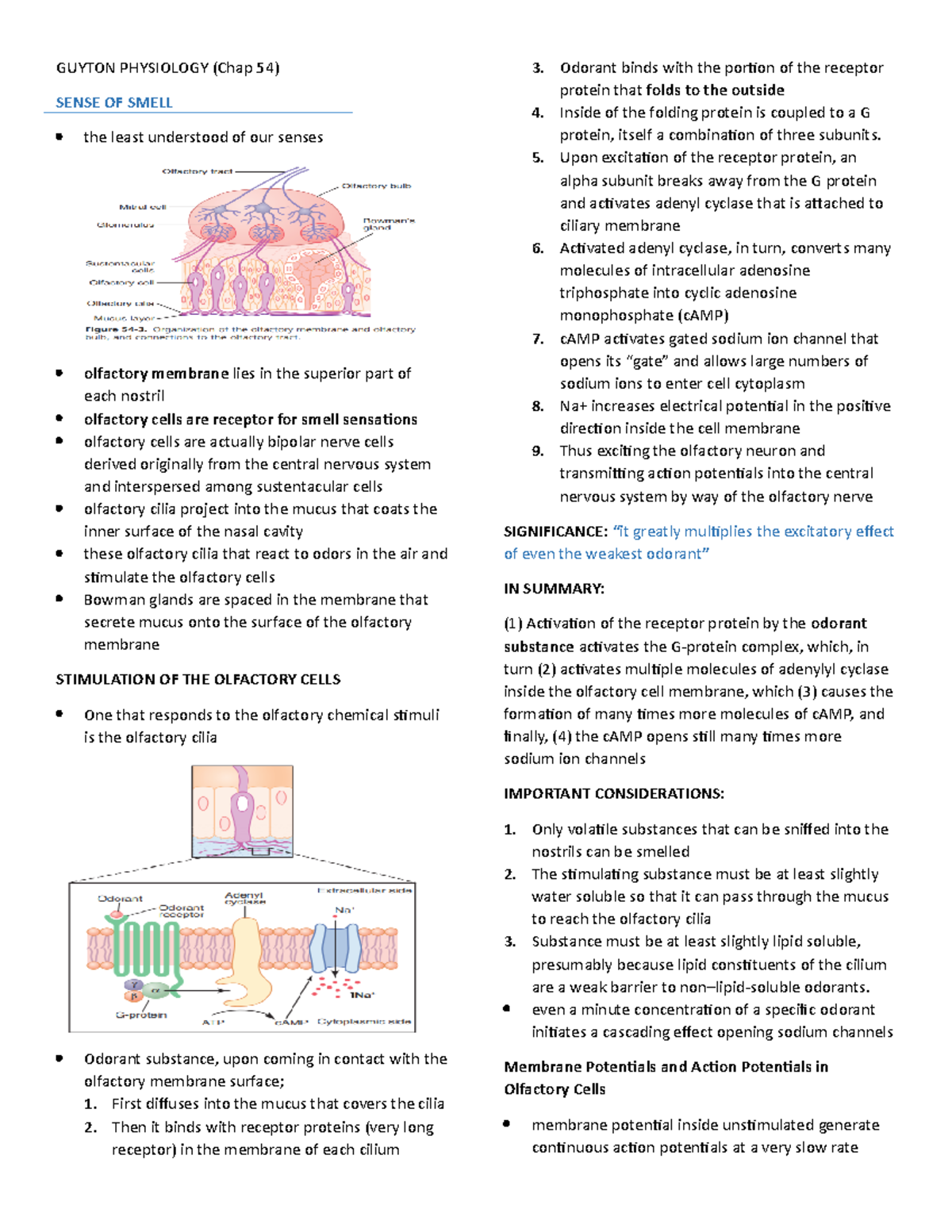 Physio of Smell and Phonation - GUYTON PHYSIOLOGY (Chap 54) SENSE OF ...