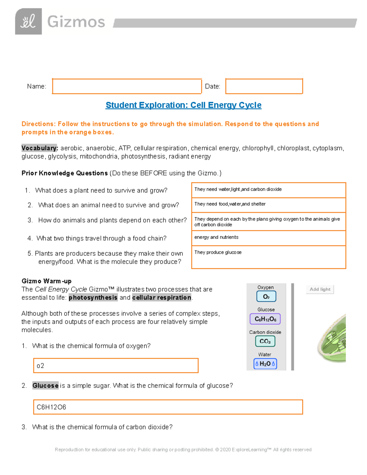 Cell Energy Complete Assignment - Name: Date: Student Exploration: Cell ...