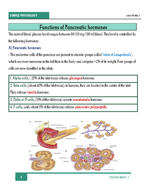2nd year mcq endoc 1,2, GIT 2 with answers HR - Anatomy 2 nd year MCQS ...