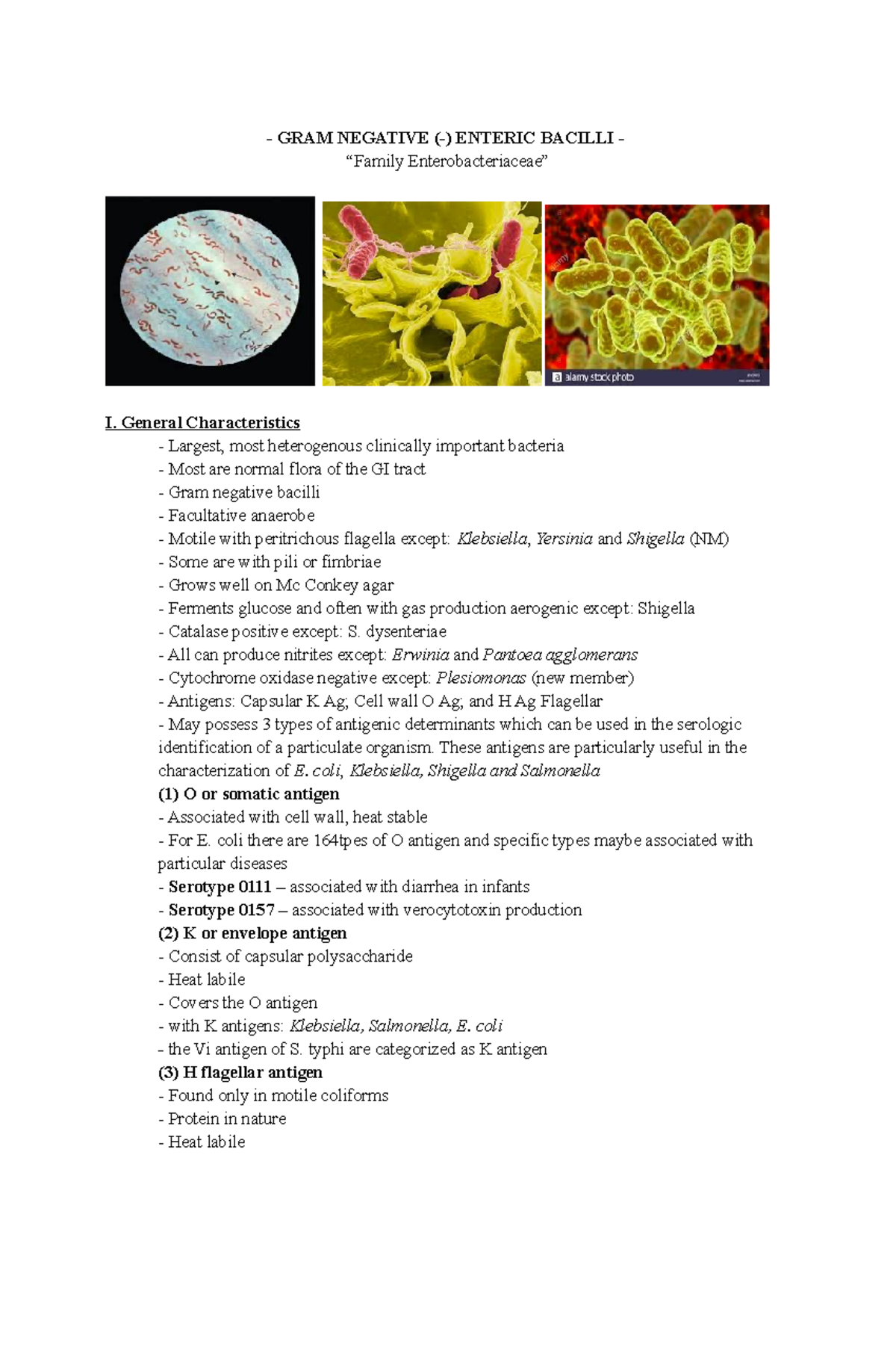 ( Midterm) GRAM (-) Enteric Bacilli Family Enterobacteriaceae - Medical ...