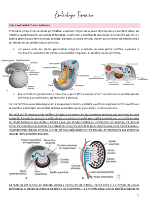 Síndromes Hemorrágicas na Gestação - Síndromes Hemorrágicas na Gestação ...