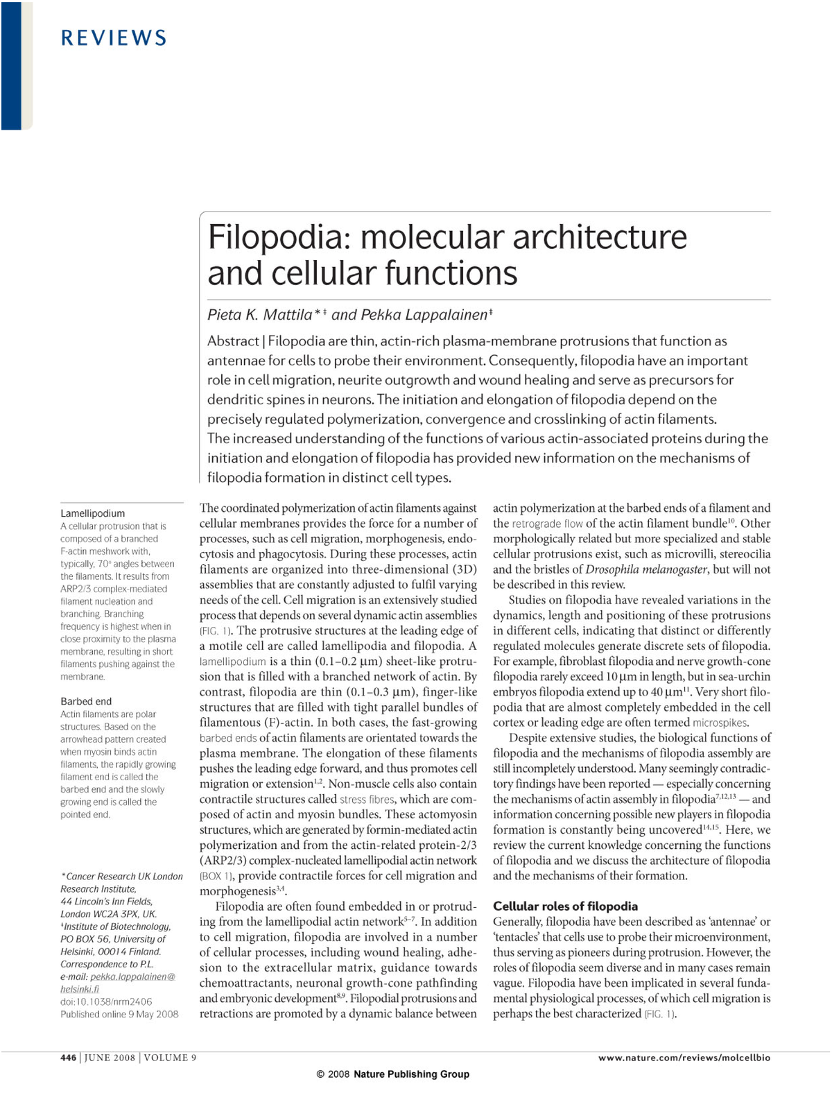 Filopodia molecular architectu - NEUR2202 - Studocu