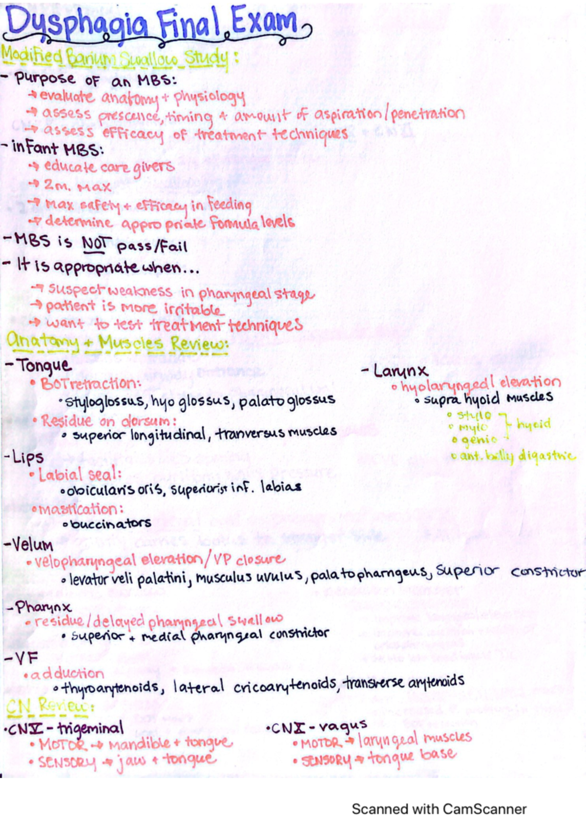Dysphagia Final Study Guide - Dysphagia Final Exam Modified Barium ...