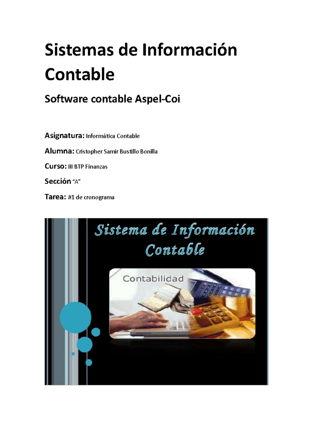 Sistemas de Información Contable - Sistemas de Información Contable ...