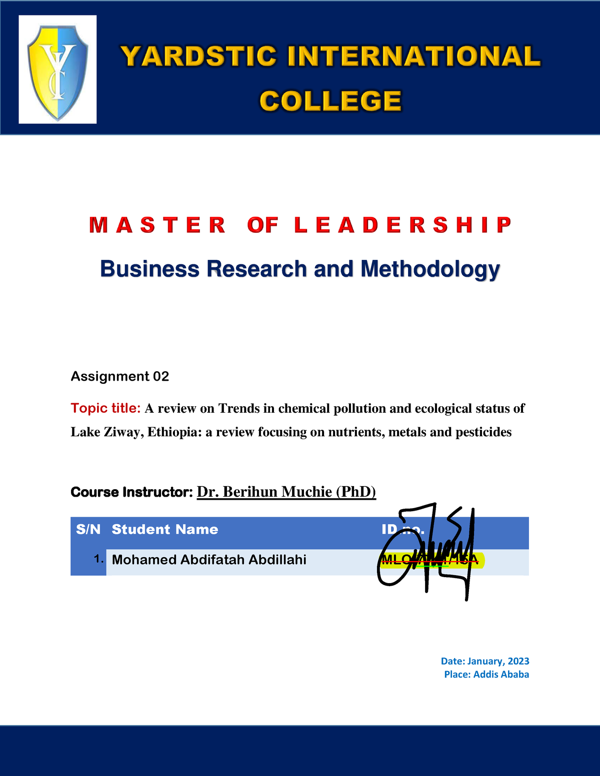 addis ababa university mba research paper pdf