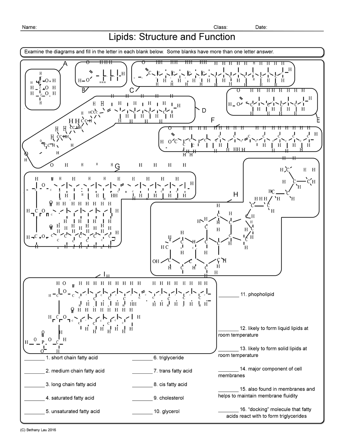 1111 - Lipids Structure and Function Homework Worksheet-11 In Lipids Worksheet Answer Key