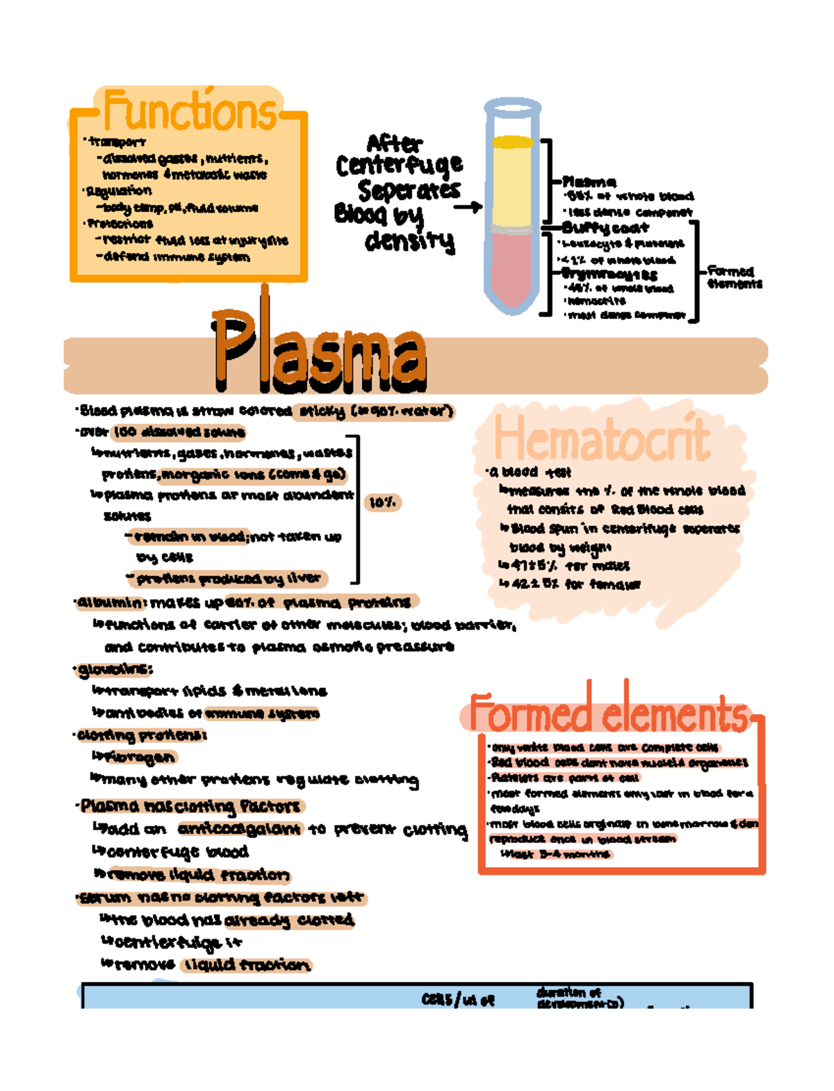 blood notes for A&P 2 - I 01075 transport dissolved gasses nutrients ...