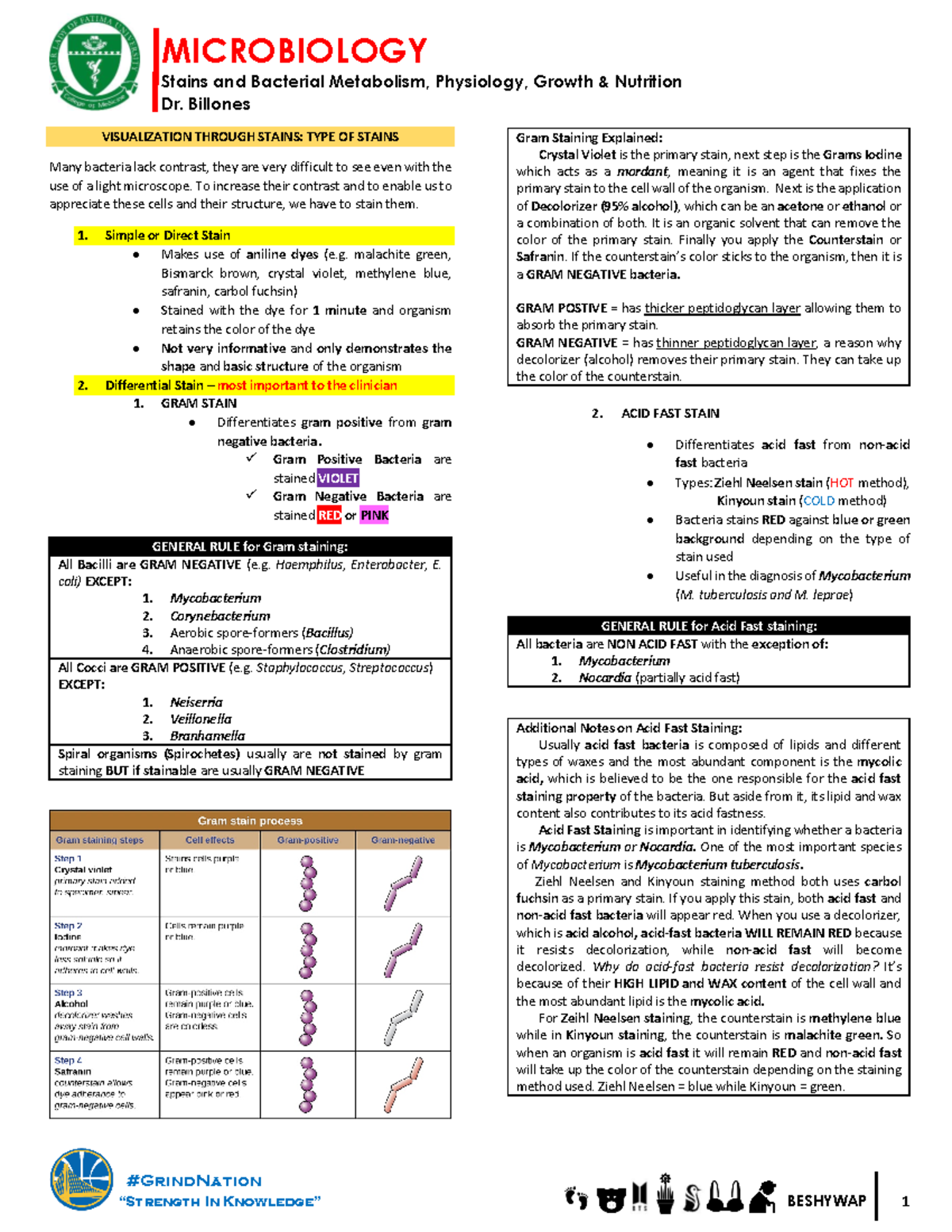 Microbiology 2 - Microbio notes on bacteriology - Stains and Bacterial ...