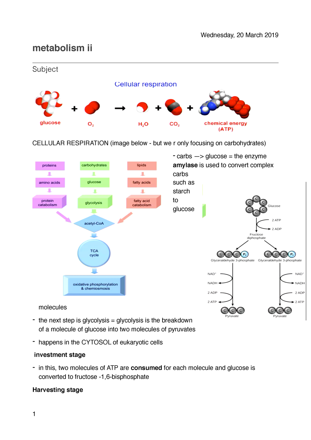 Metabolism II Pdf - Lecture Notes 5 - Metabolism Ii Subject CELLULAR ...