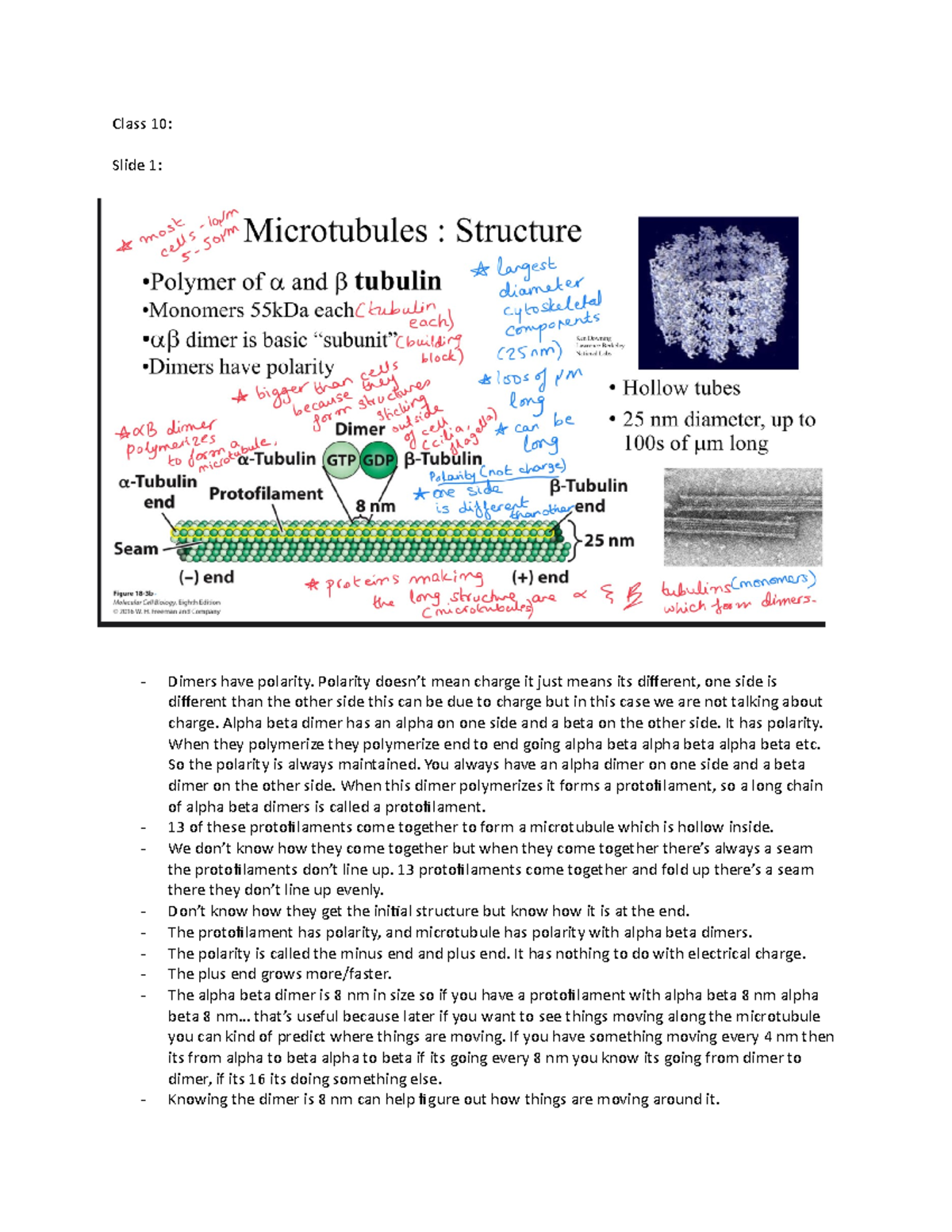 Notes - Biology 2382B - UWO - Studocu