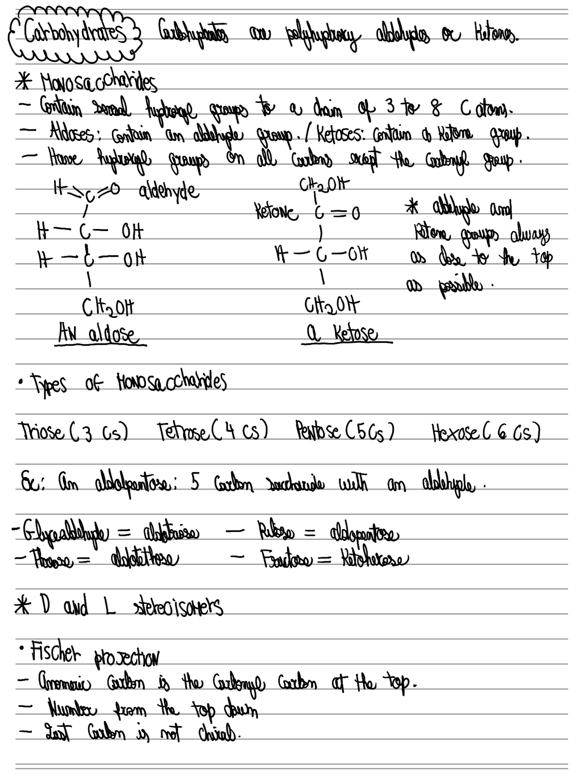 Carbohydrates CHEM 2410 Studocu