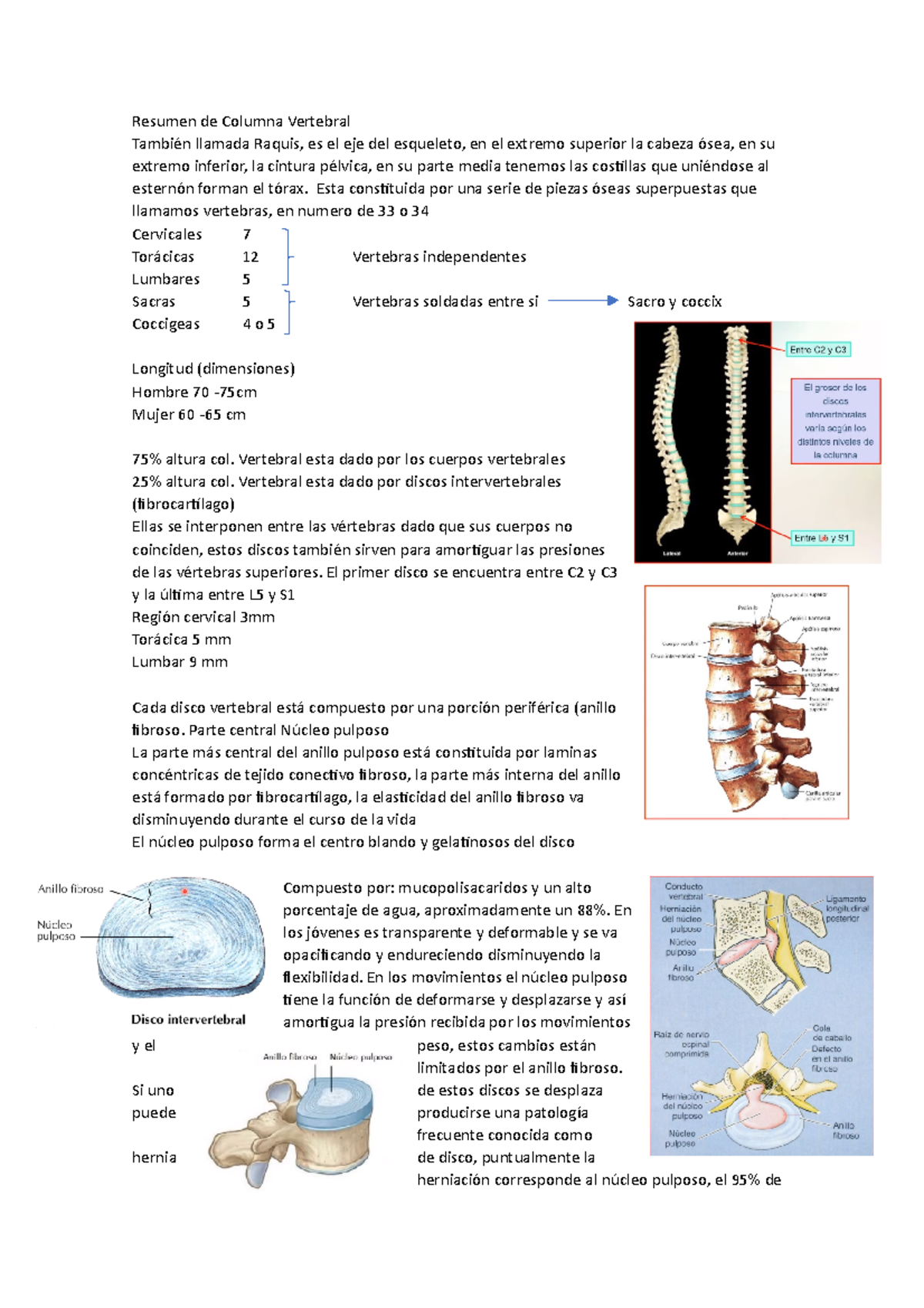 4 Resumen de Columna Vertebral Resumen de Columna Vertebral