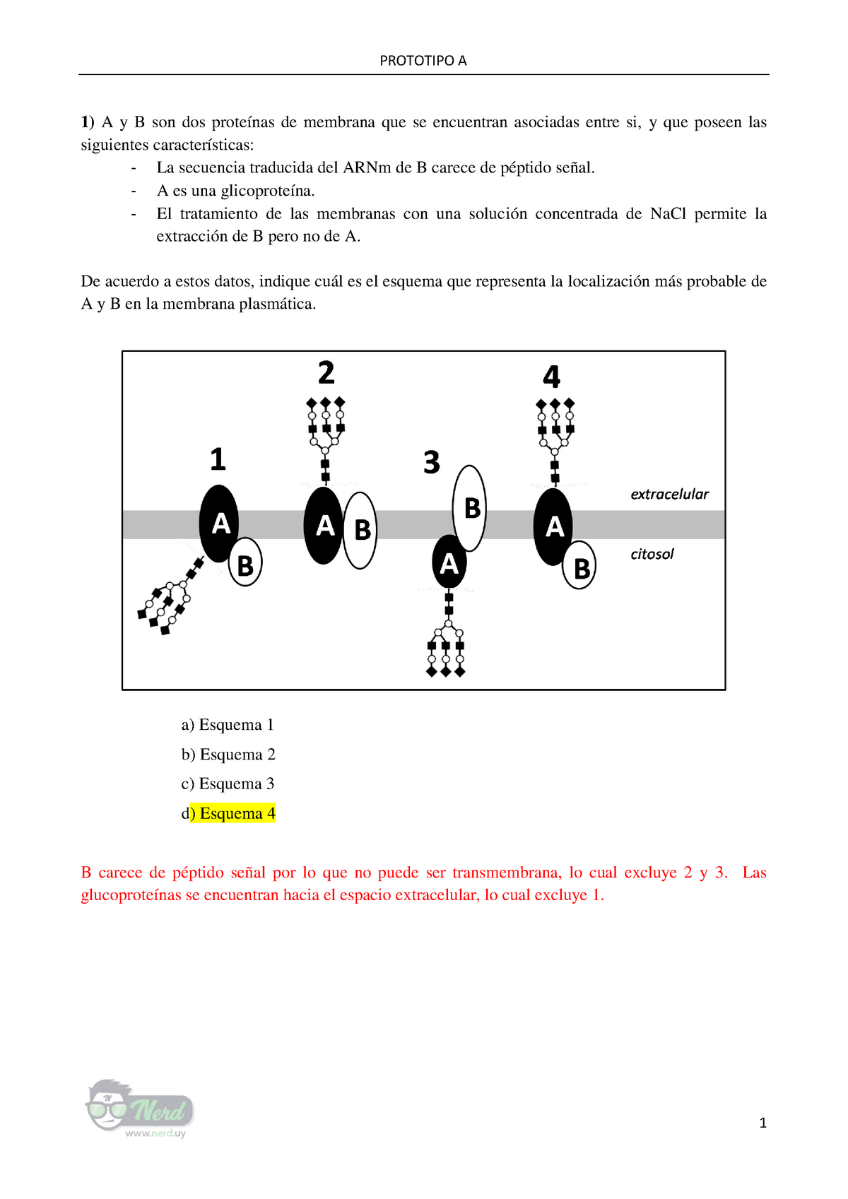 1er Parcial 2014 (con Solución). Biologia - 1) A Y B Son Dos Proteínas ...