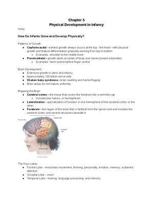 Chapter 3 - Chapter 3 Prenatal Development The Course of Prenatal ...