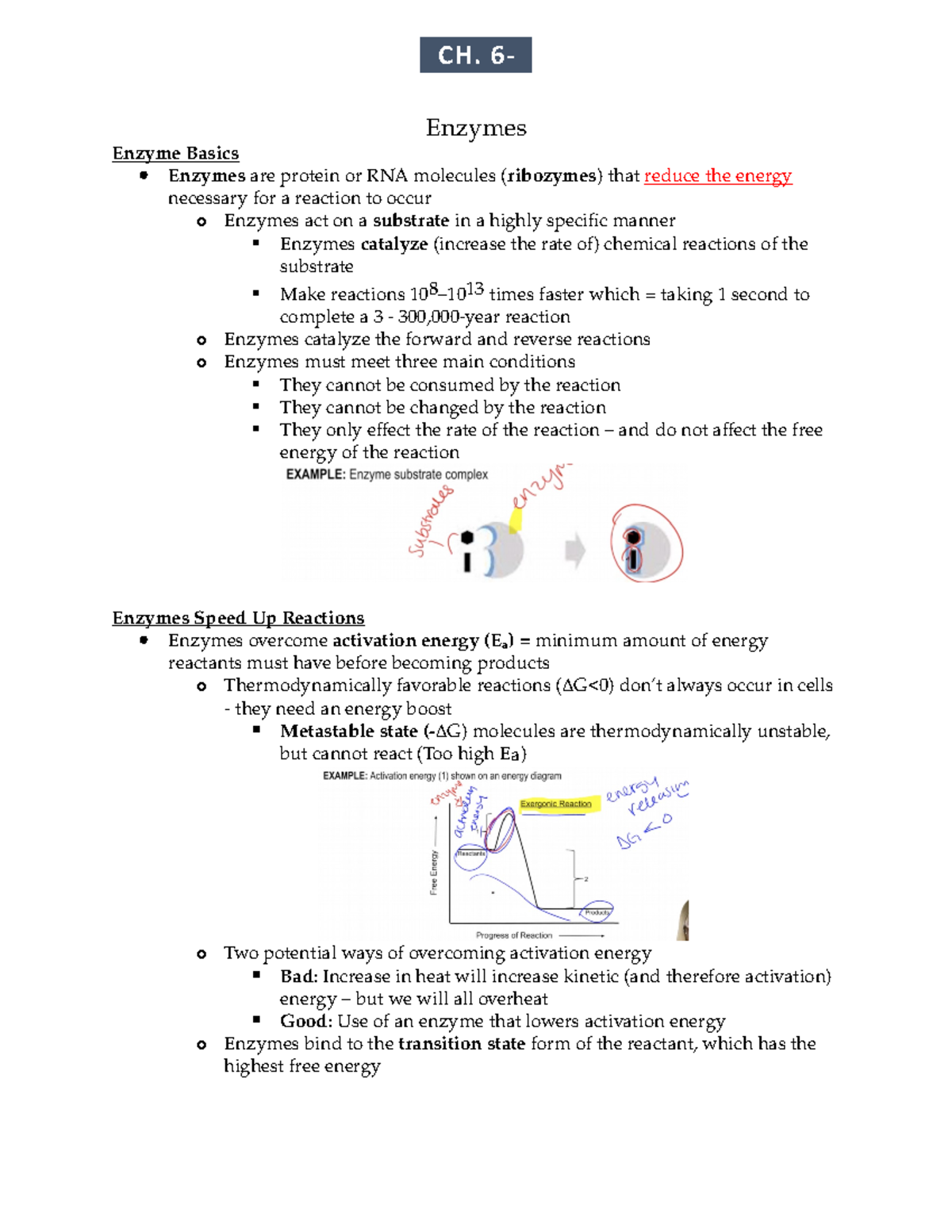 CH. 6- Enzymes- THE Catalysts OF LIFE - Enzymes Enzyme Basics Enzymes ...