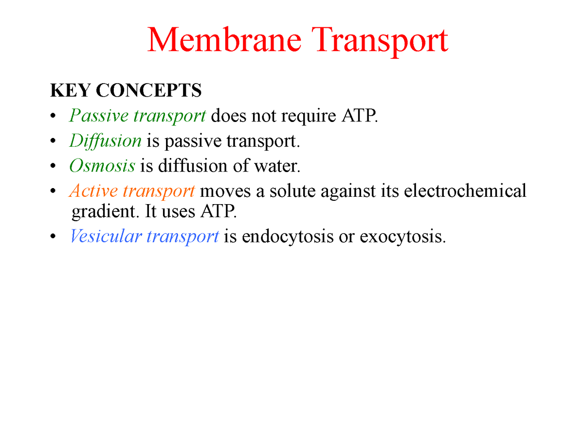 330Lec04 2020 - KEY CONCEPTS • Passive transport does not require ATP ...