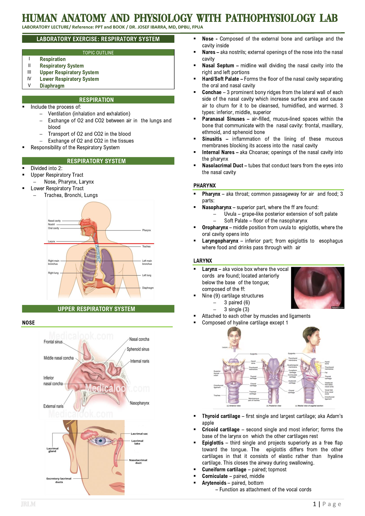 HAPP LAB - Respiratory System - Human Anatomy and Physiology WITH ...