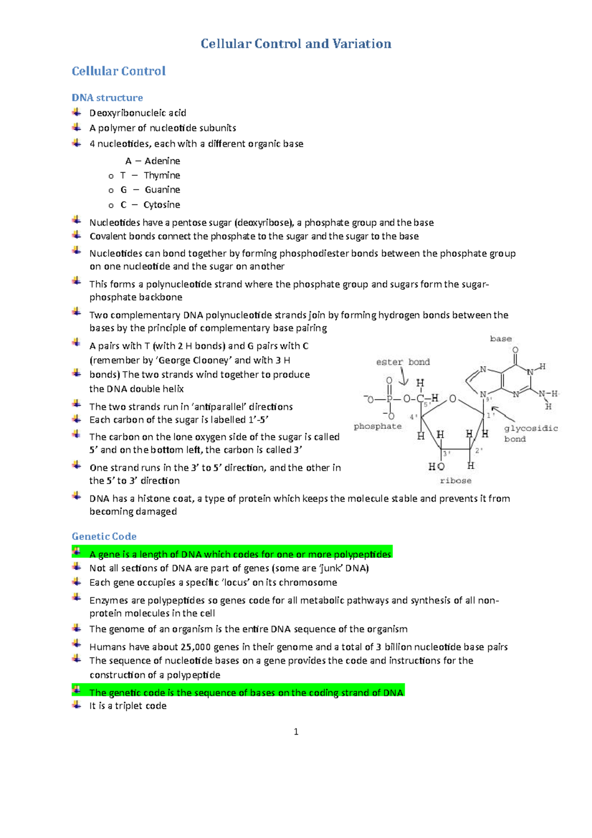 Cellular Control and Variation - Cellular Control and Variation ...