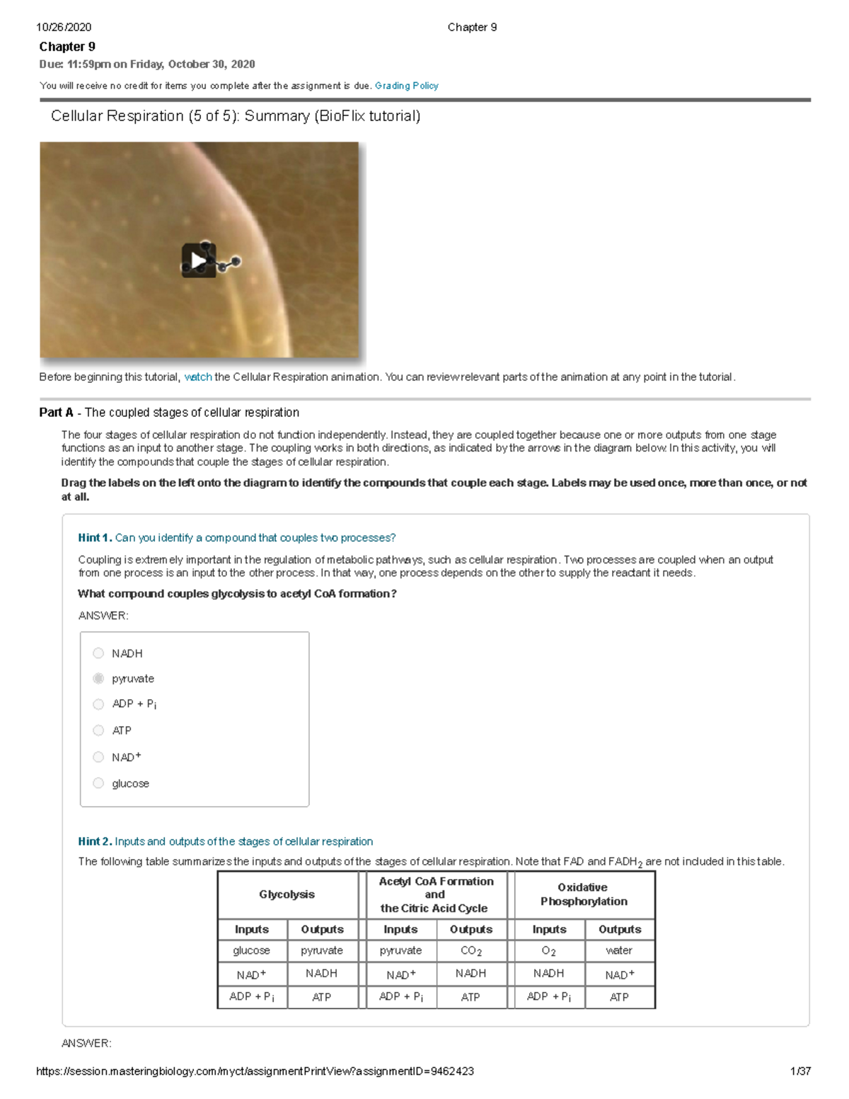 oxidative phosphorylation diagram mastering biology