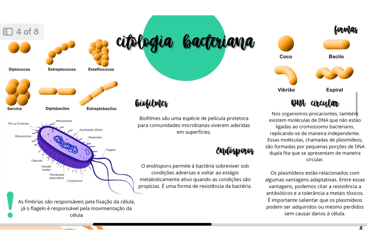 RESUMO MICROBIOLOGIA Microbiologia Studocu